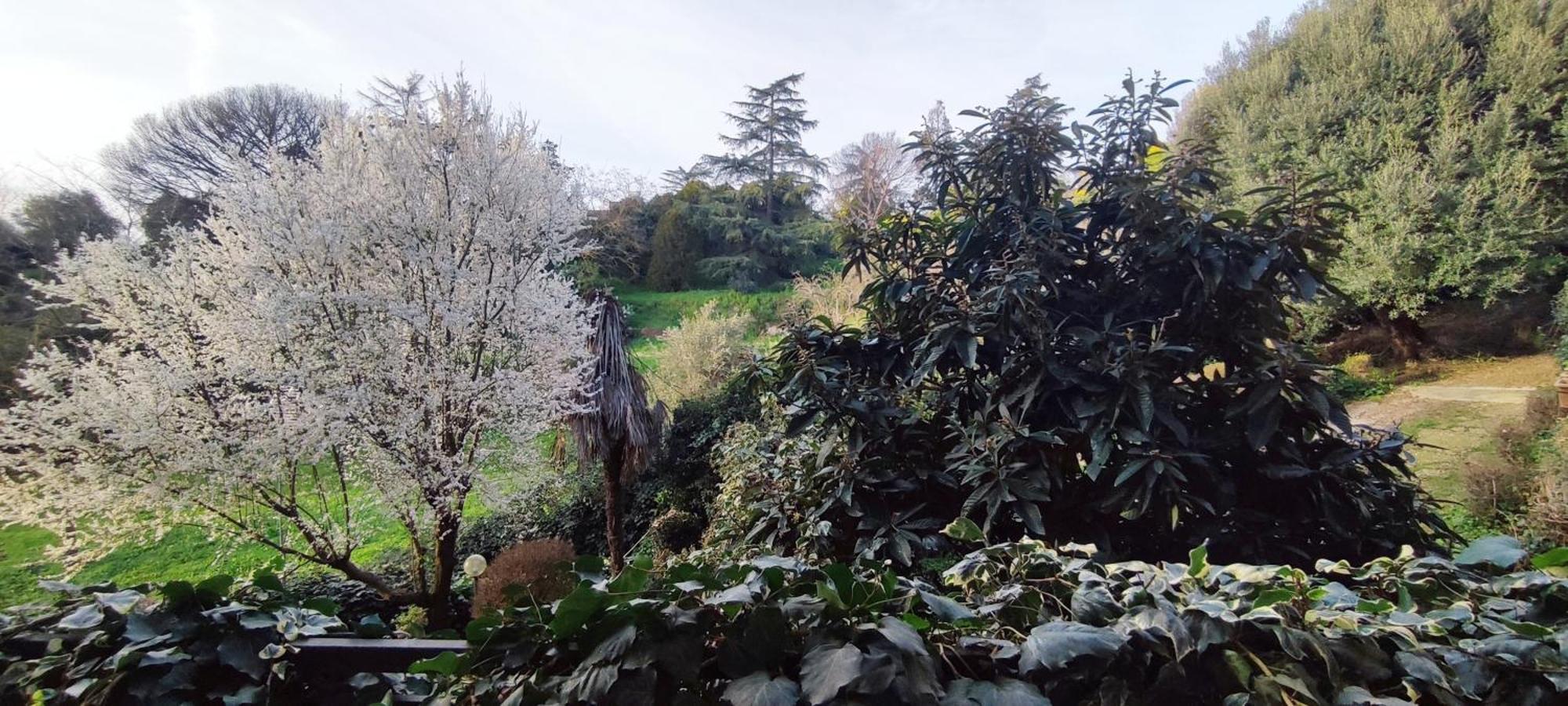 Appartamento Aurelia 1100 Near Vaticano Up To 6 Guests Roma